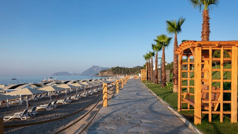 Фотографии