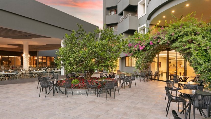 Фотографии