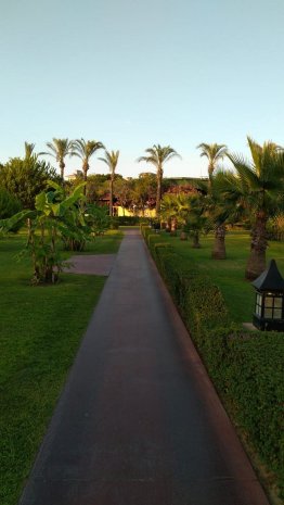 IC Hotels Green Palace 5* фотографии