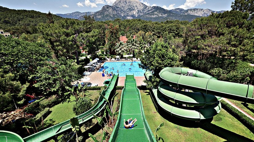 Фотографии