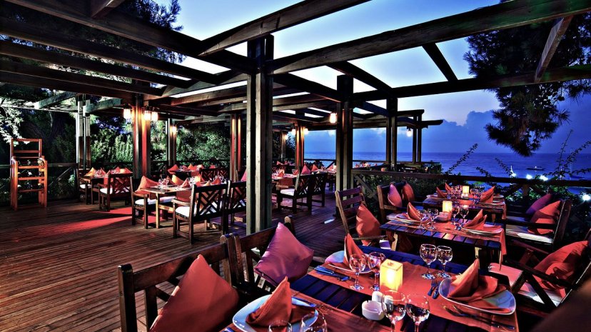 Фотографии