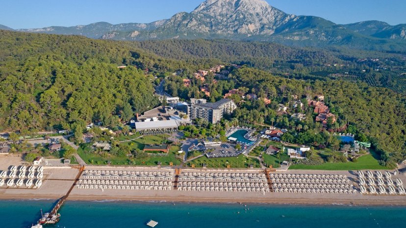 Фотографии