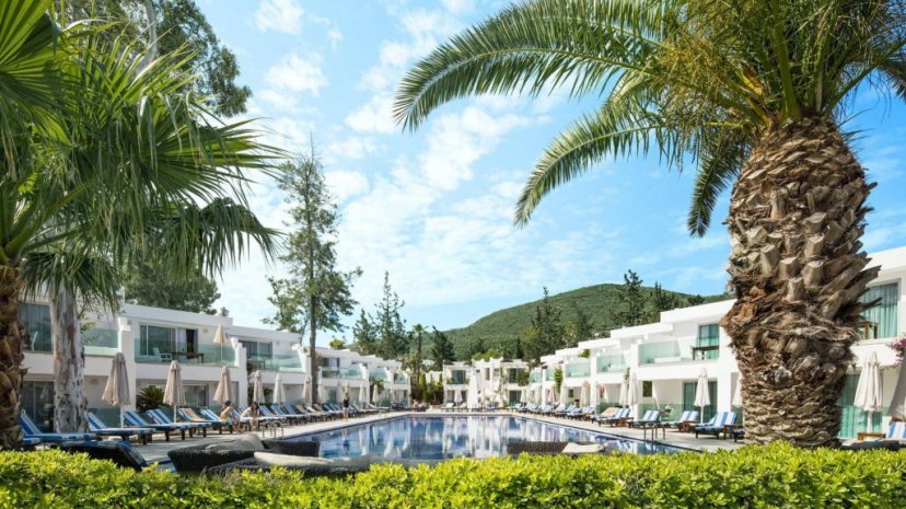 Voyage Torba 5* 2025